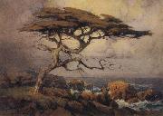 unknow artist Monterey Cypress painting